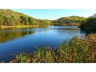 Property photo 90 - LAND AUCTION - 1,050+/- ACRES OFFERED IN 21 TRACTS PLUS 450+/- ACRE HUNTING LEASE IN MUSKINGUM COUNTY, OHIO